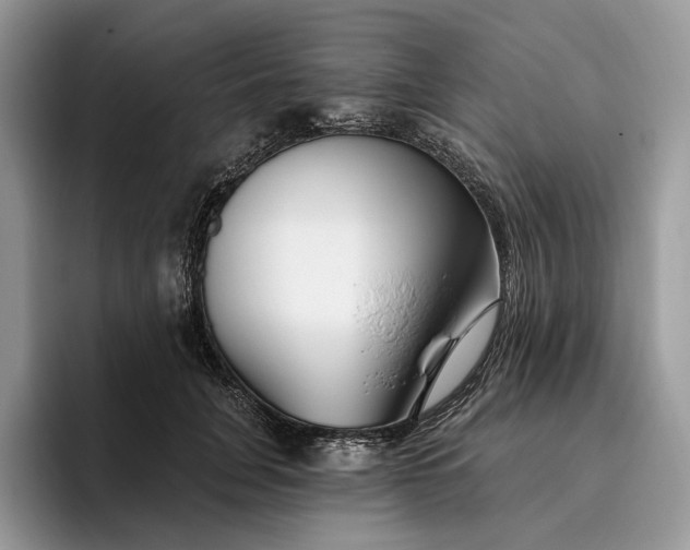 X0000095930751200801251049
