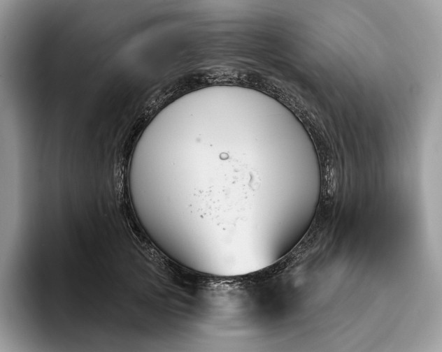 X0000095930753200801251049