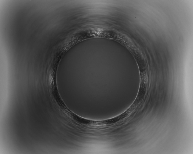 X0000095930754200801251049