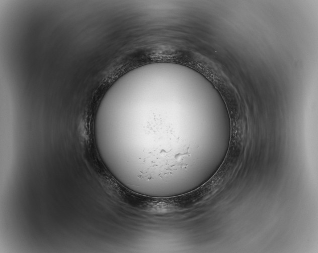 X0000095930755200801251049