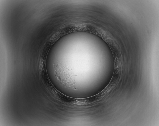 X0000095930758200801251049