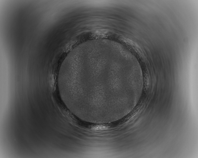 X0000095930759200801251049