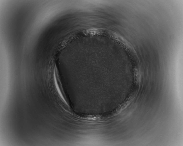X0000095930760200801251050