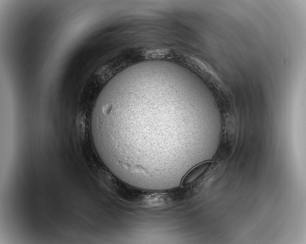 X0000095930761200801251050