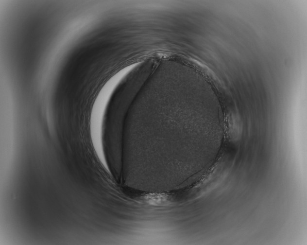 X0000095930762200801251050