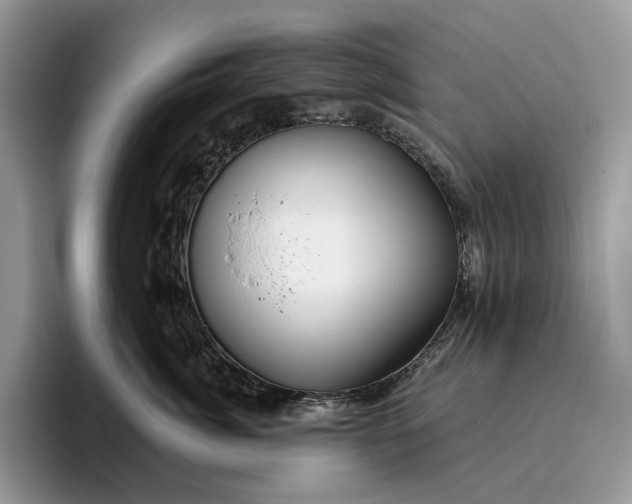 X0000095930764200801251050