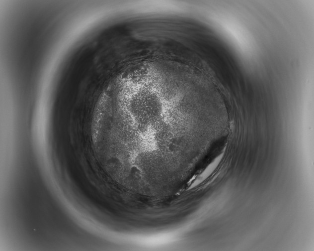 X0000095930765200801251050