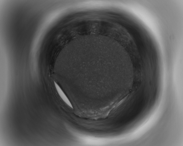 X0000095930766200801251050