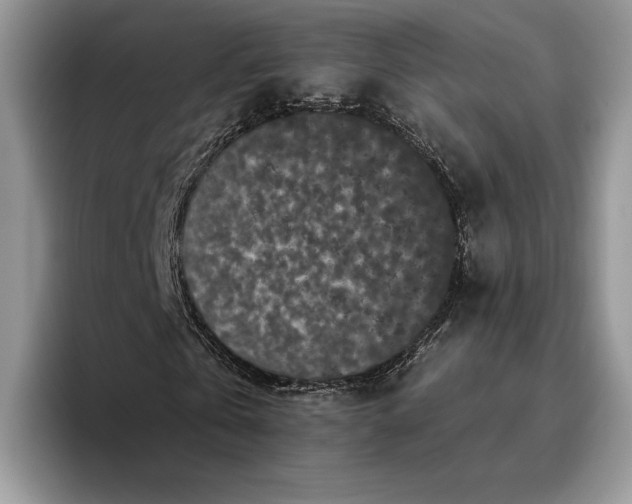 X0000095930769200801251049