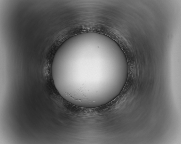 X0000095930770200801251049