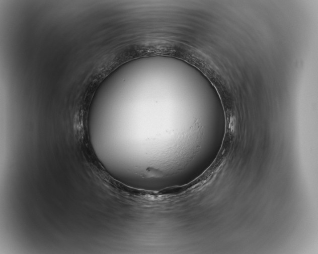 X0000095930771200801251049