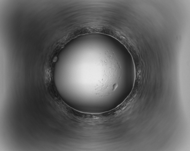 X0000095930772200801251049
