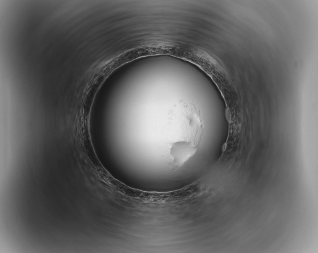 X0000095930773200801251049