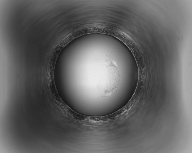 X0000095930774200801251049