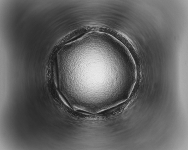 X0000095930775200801251049