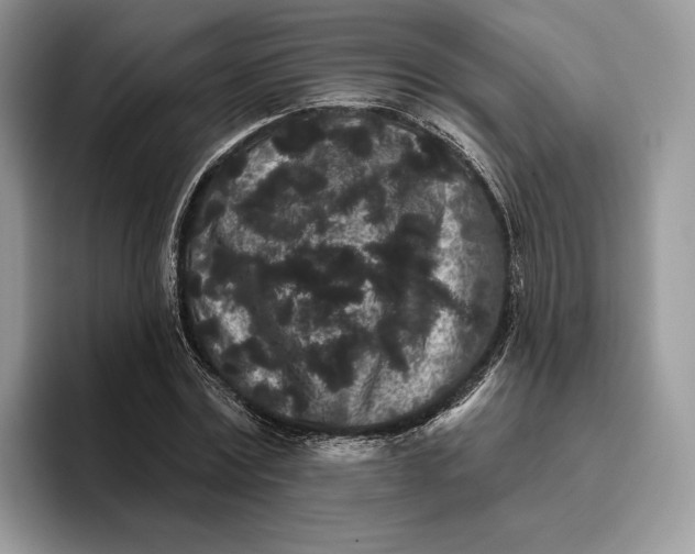 X0000095930779200801251049