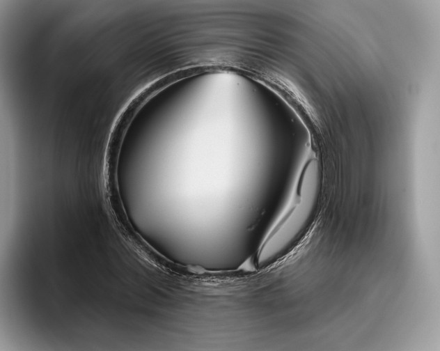 X0000095930780200801251049