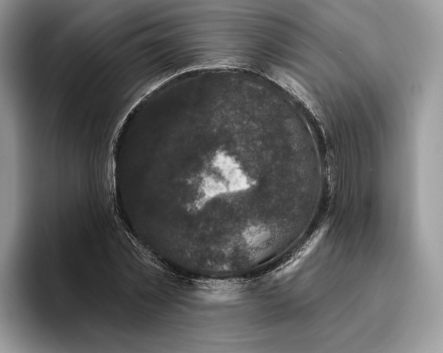 X0000095930781200801251049