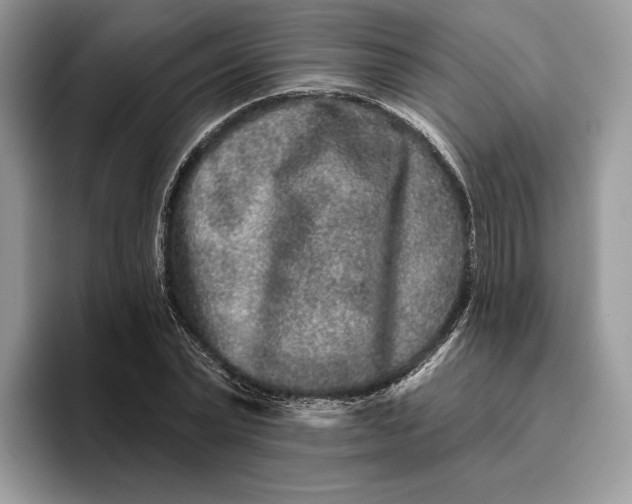 X0000095930783200801251049