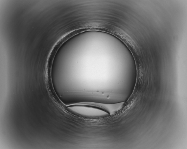X0000095930784200801251049
