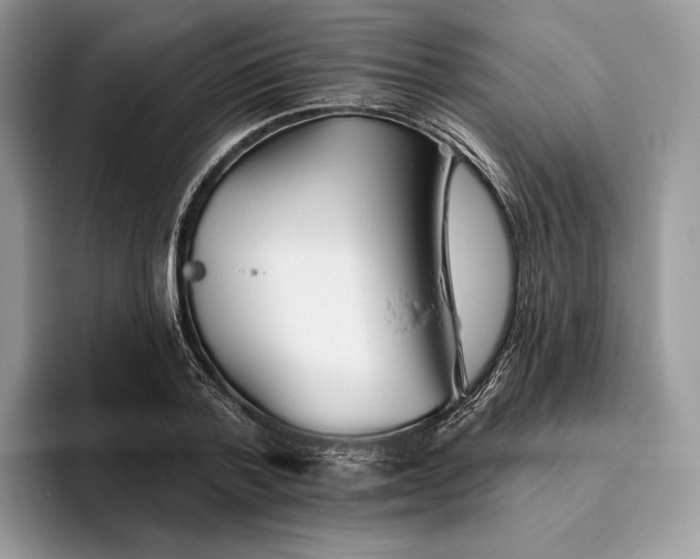X0000095930788200801251049