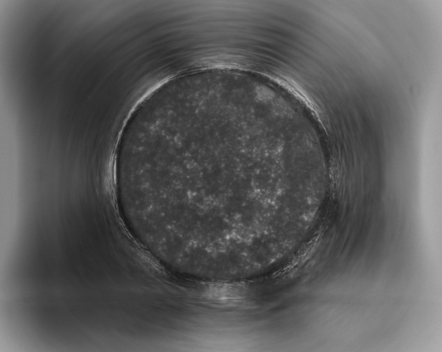 X0000095930790200801251049
