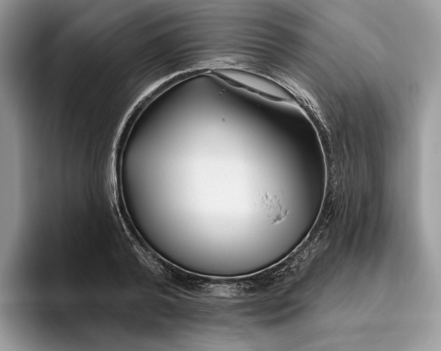 X0000095930792200801251049