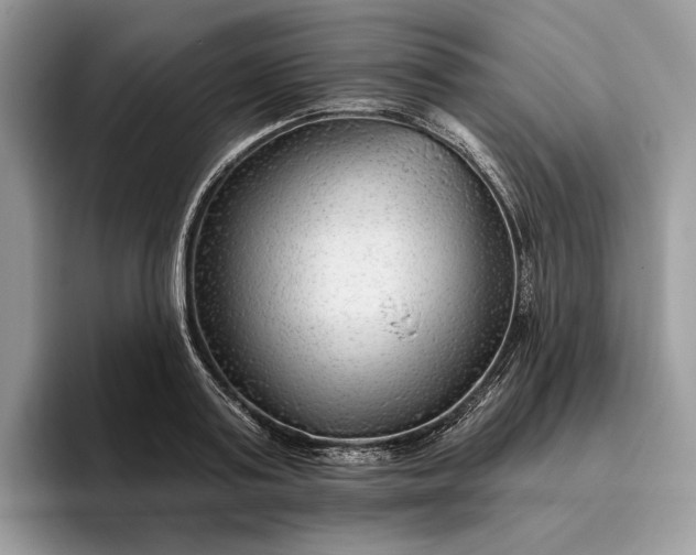 X0000095930795200801251049