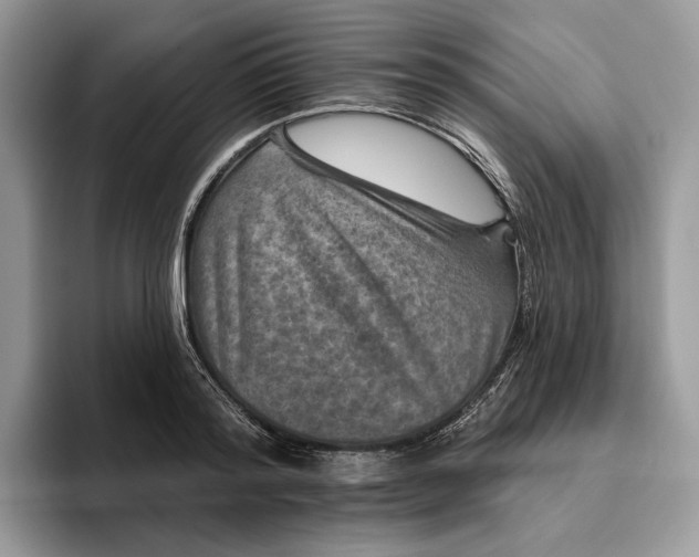 X0000095930796200801251049