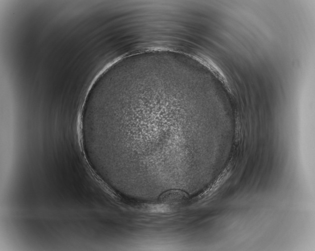 X0000095930798200801251049
