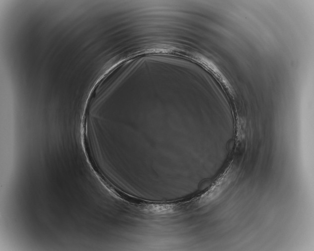 X0000095930802200801251049