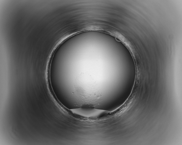 X0000095930803200801251049