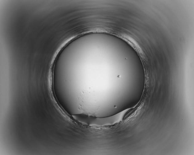 X0000095930804200801251049