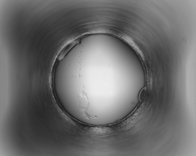 X0000095930805200801251049