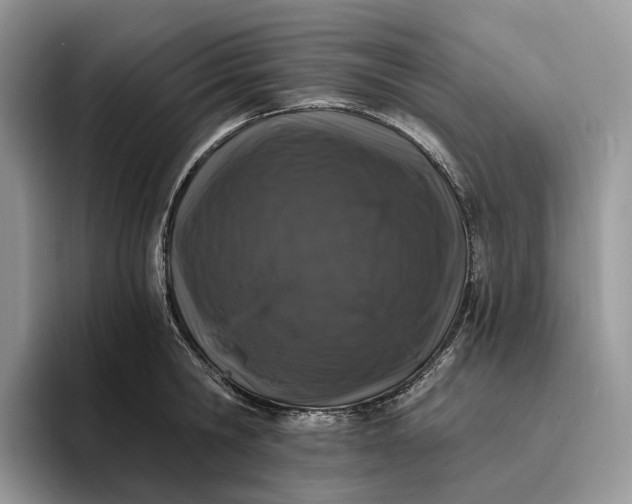 X0000095930806200801251049