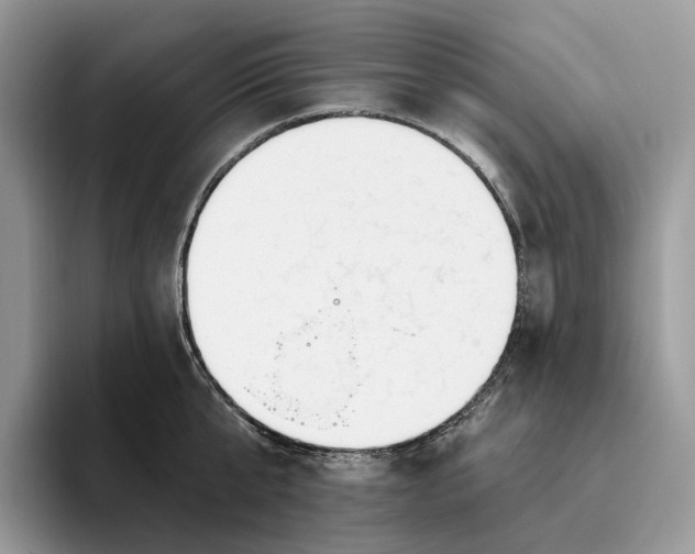 X0000095930807200801251048