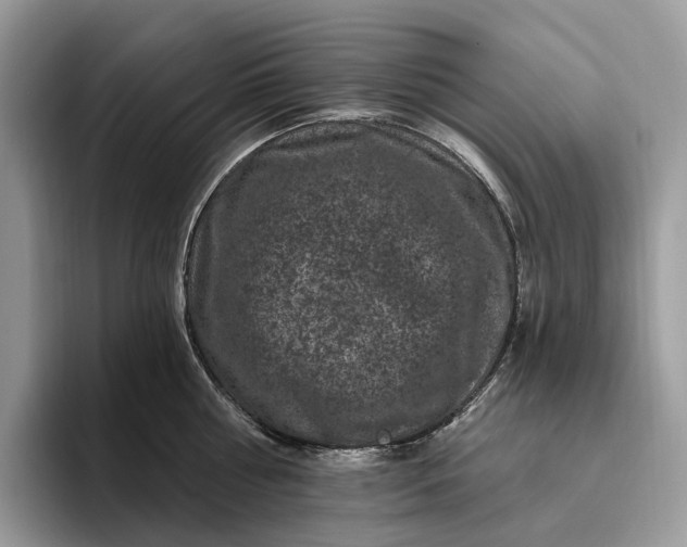 X0000095930810200801251048
