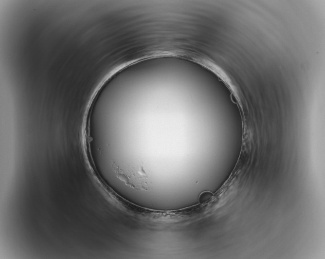 X0000095930811200801251048