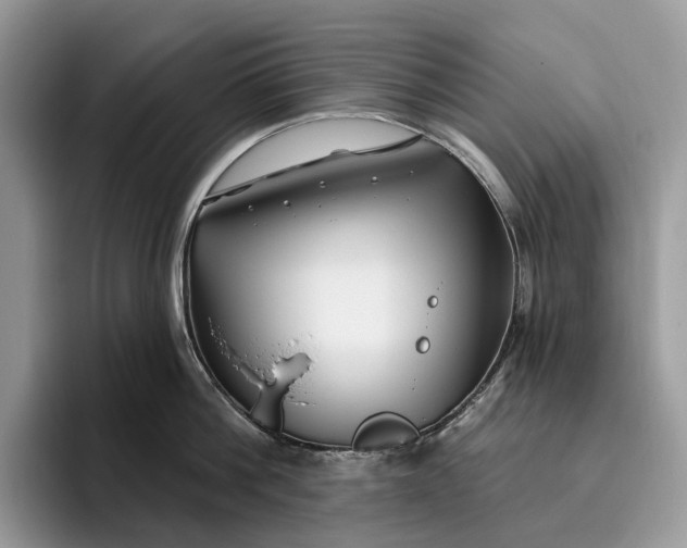X0000095930812200801251048