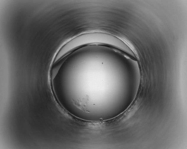 X0000095930813200801251048