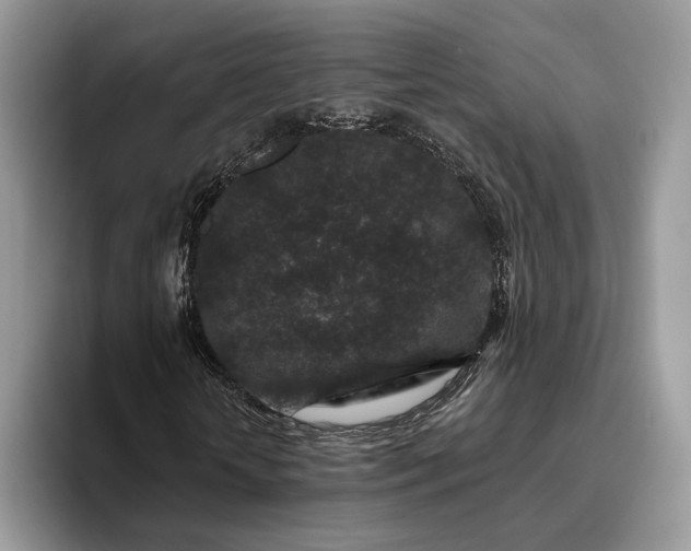 X0000095930818200801251048