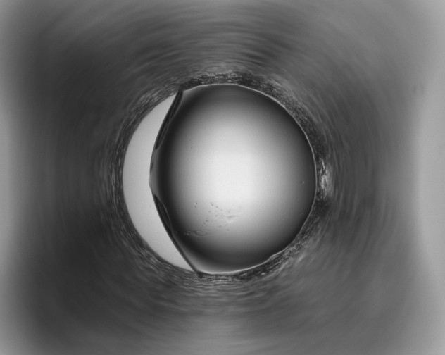 X0000095930819200801251048