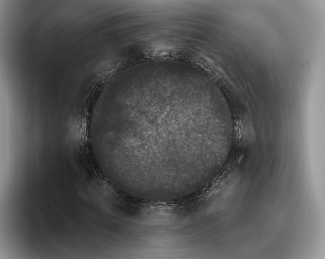 X0000095930820200801251048
