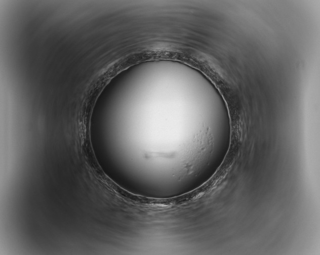 X0000095930821200801251048