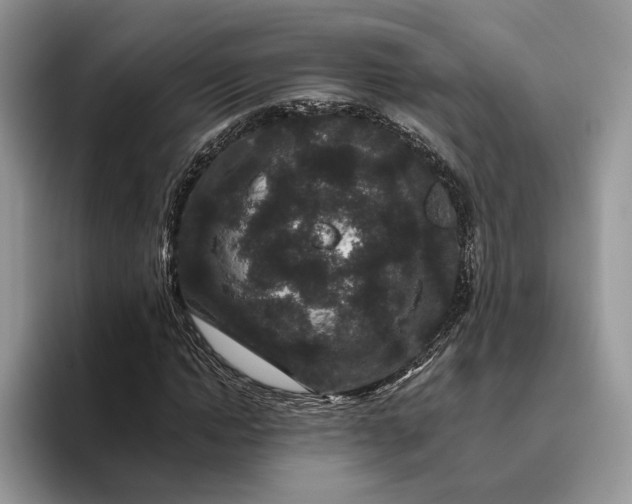 X0000095930822200801251048