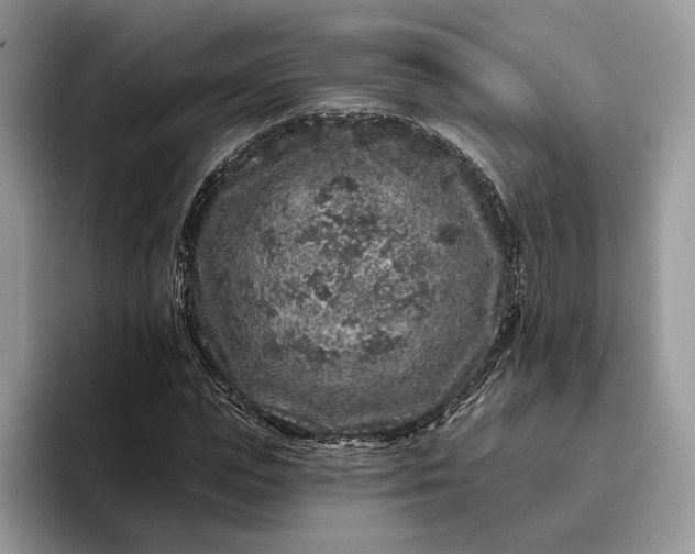 X0000095930823200801251048