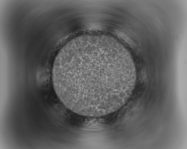 X0000095930824200801251048