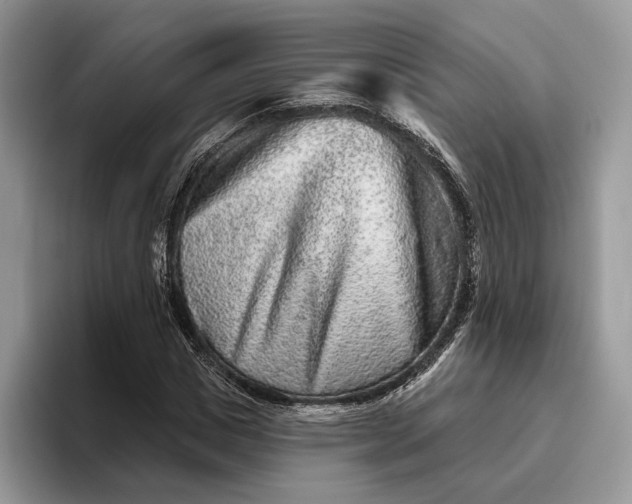 X0000095930825200801251048