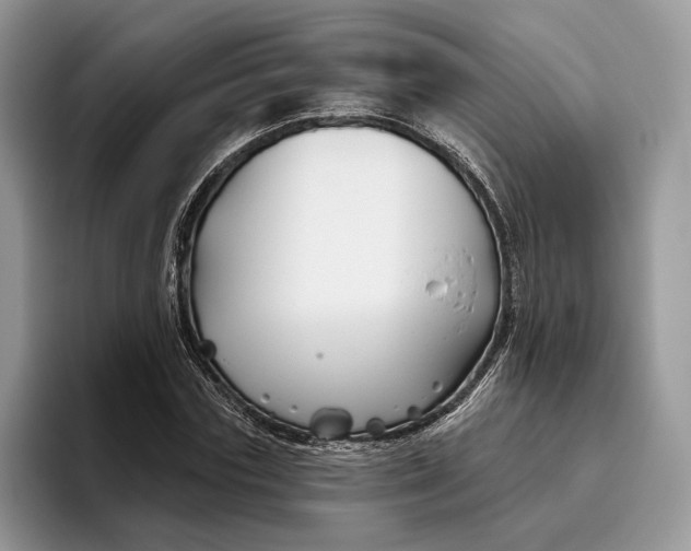 X0000095930827200801251048