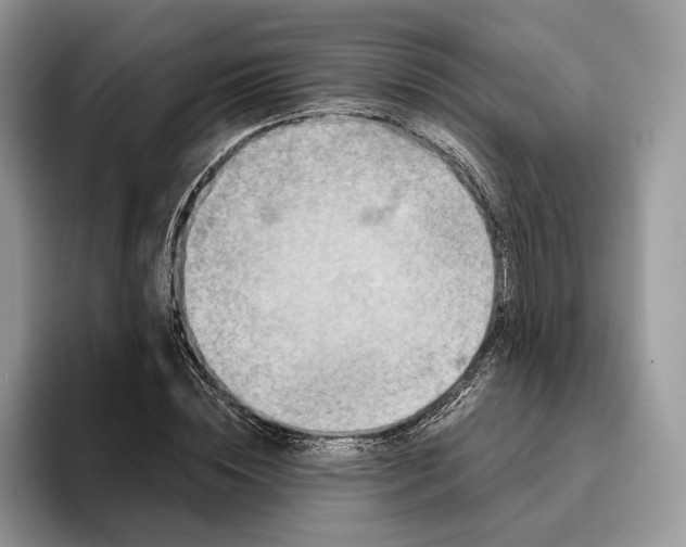 X0000095930828200801251048